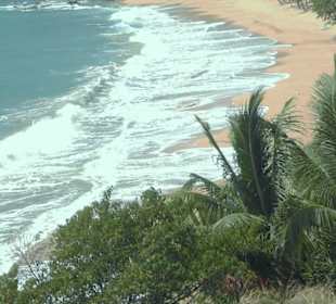 Blick auf einen der 365 Strände von Antigua