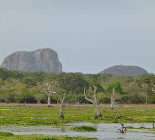 Beeindruckende Natur