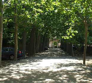 Der Weg von Can Picafort nach Alfabia