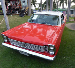 Immer wieder schattenspendende Palmen