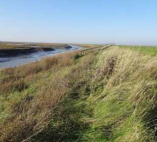 Rundgang durch den Langwarder Groden