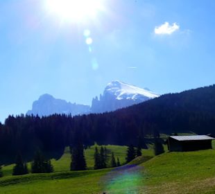 Fotomotive non stopp 