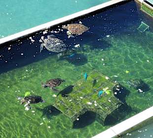 Blick auf das Außengelände der Station