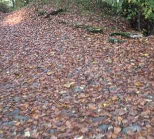 Höllenlochhütte St. Johann