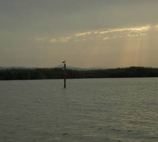 L'Albufera de Valencia