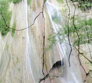 Dschungeltrekking