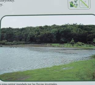 Parque Nacional de Garajonay