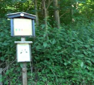 Ameisenlehrpfad Holzelfingen