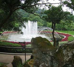 Springbrunnen im Yangming Park