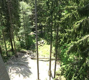 Naturparkzentrum Ruhestein