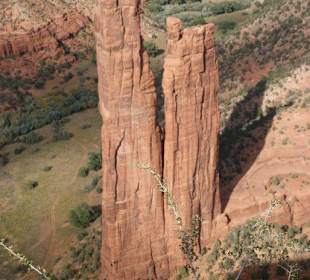 Spiderrock