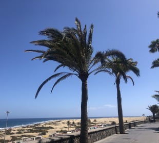 Strand Playa del Ingles 