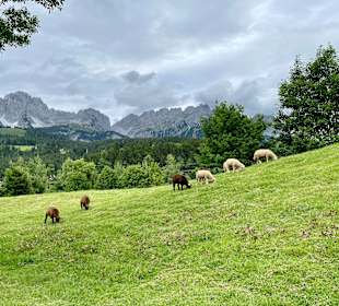 Wandern Ellmau am Wilden Kaiser