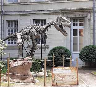 Naturkundemuseum