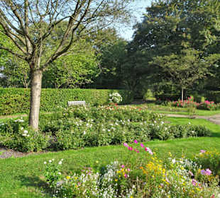 Eindrücke aus dem Harburger Stadtpark