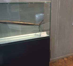 Deutsches Technikmuseum 