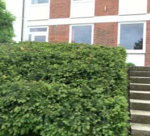 Precizer Haus Haiterbach