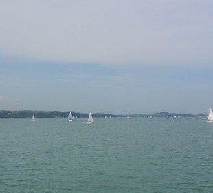 Viele Segler