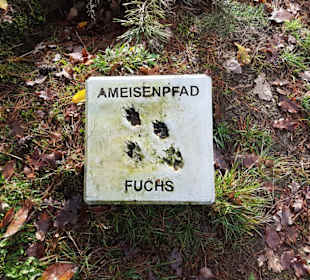 Barfußpfad Schermbeck Steintafel mit Pfotenabdruck