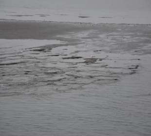 Ebbe vor Spiekeroog
