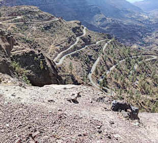 Inselrundfahrt Gran Canaria