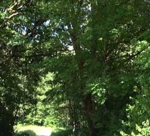 Eduard Lucas Musterobstgarten Mähringen