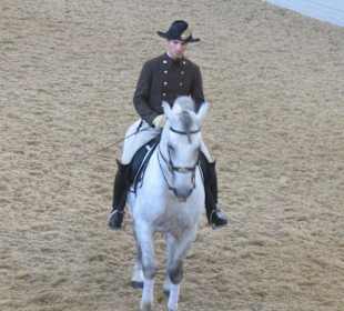 Spanishe Hofreitschule