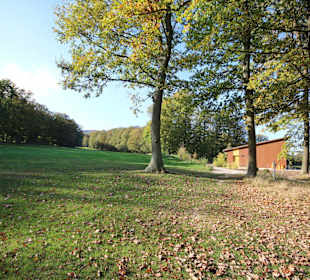 Wald umsäumte Fairways