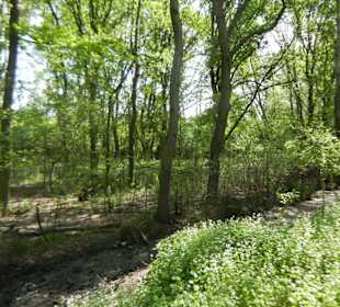 Naturschutzgebiet Boberger Niederung