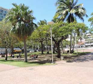 Grüne Lunge mitten in der Stadt