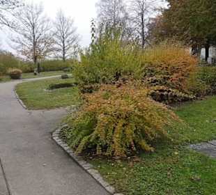 Friedhof Belsen
