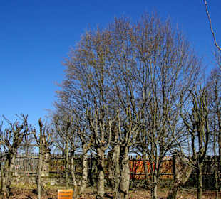 Die Gartenanlage Pavillon