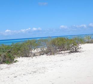 Eindrücke während der Fahrt