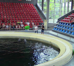 Delfinarium Varna