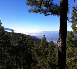 Der Teide