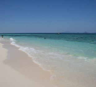 Bamboo-Island