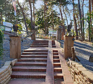 Naturpark Steinhuder Meer