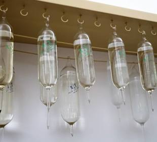 Rundgang durch das Medizinmuseum