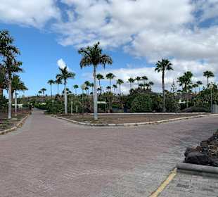 Stadtrundgang Maspalomas