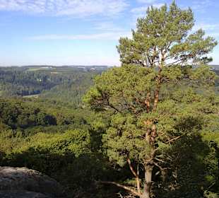 Kleine Luxemburger Schweiz bei Echternach