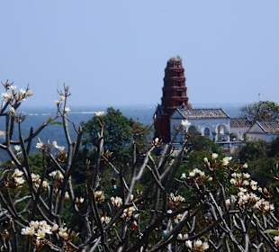 Phra That Chom Phet