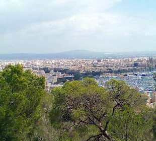 Stadtrundfahrt Palma