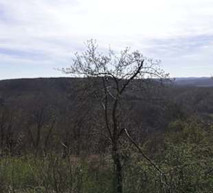 Roßbergturm