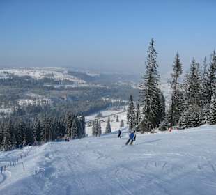 Stok Hawrania