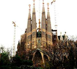 Piękno w ciągłej budowie