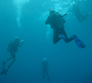 Tauchen in der Gruppe