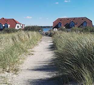 Strand Rerik