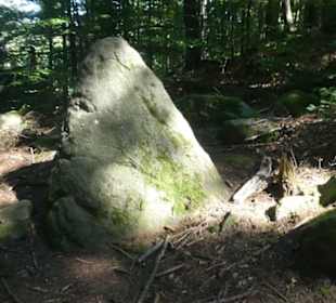 Nietzsche-Weg: der Spitze Stein