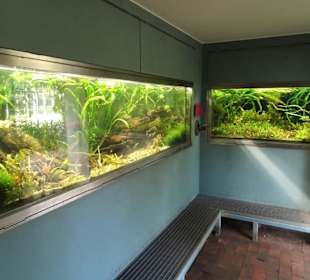 Rundgang durch das Tropenhaus des Schlossparks