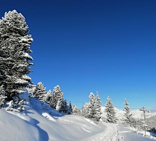 Wandern Kaltenbach